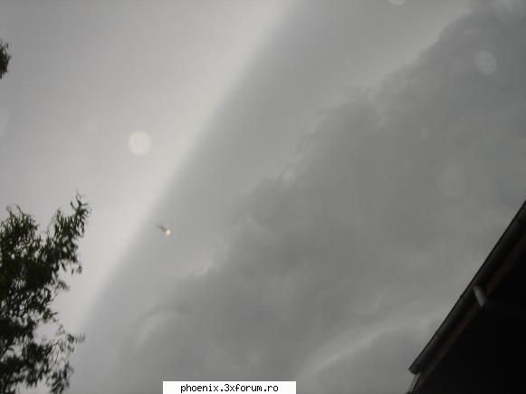 Ce te-a impresionat astăzi ? - Astazi am descarcat cateva fotografii facute cam - M-a impresionat astazi