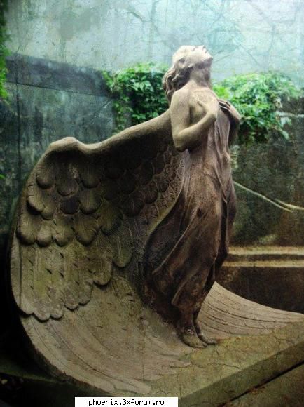 Cimitire - From Warsaw Graveyard Photography by Marzena - Arta si cultura