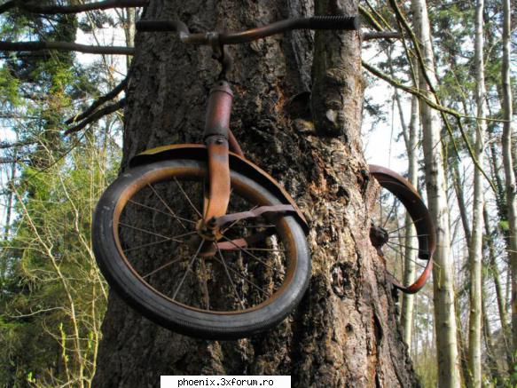 na ! ( io cre' ca-i cazuta de pe orbita ! ) veche