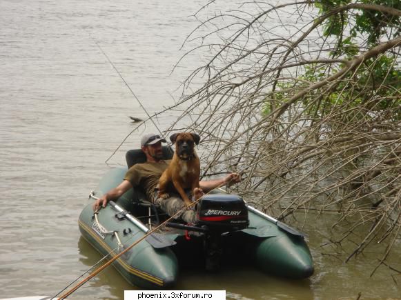 he he he !  =)  =)  =) 

am timonier , ..... da' am si amiral !  ;) suflete de companie